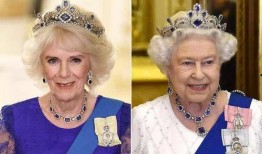 卡米拉最新爆料,揭开王室背后惊人真相